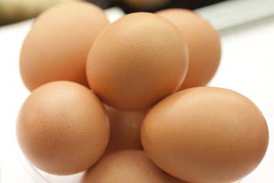 free range chicken eggs free range chicken eggs