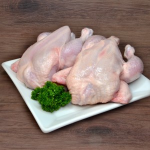 Poussin